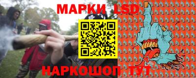 PSILOCYBIN Обнинск