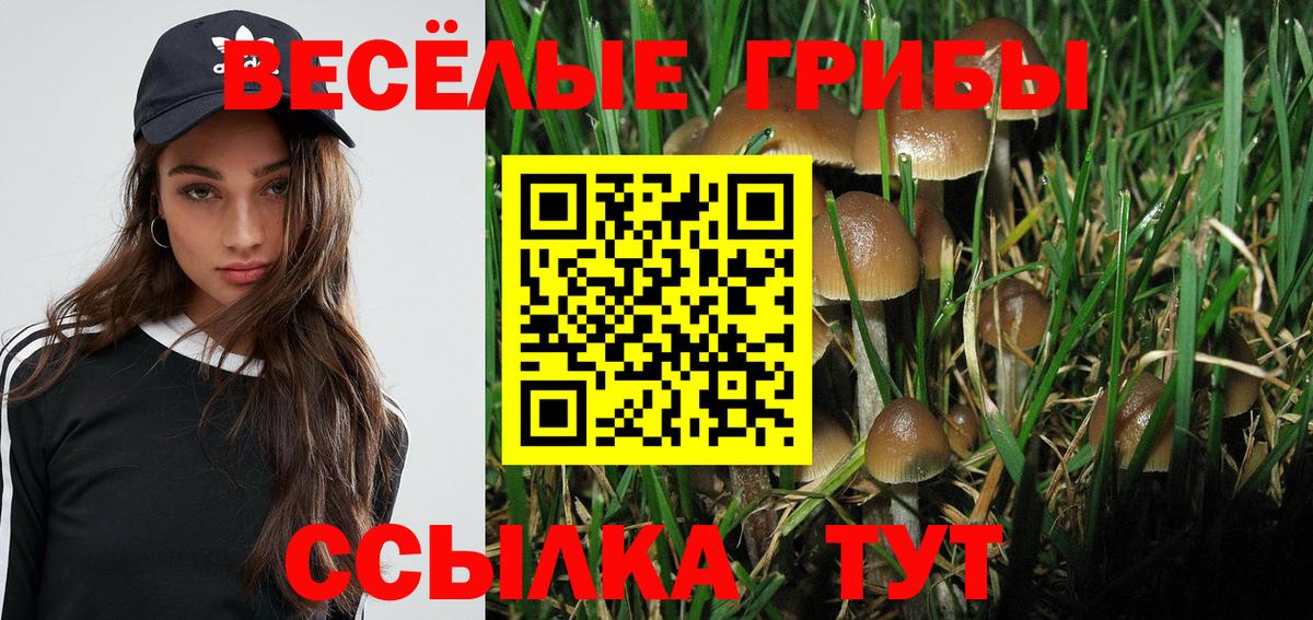 Галлюциногенные грибы Cubensis  как найти   Скопин  Вход с VPN  Галлюциногенные грибы GOLDEN TEACHER 